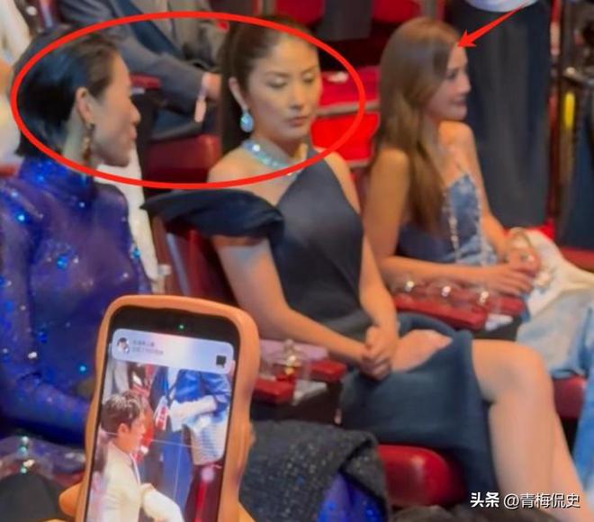 镜胡杏儿美出圈C位张柏芝抢尽风头瓦力游戏澳门晚宴：刘嘉玲大露背抢(图15)