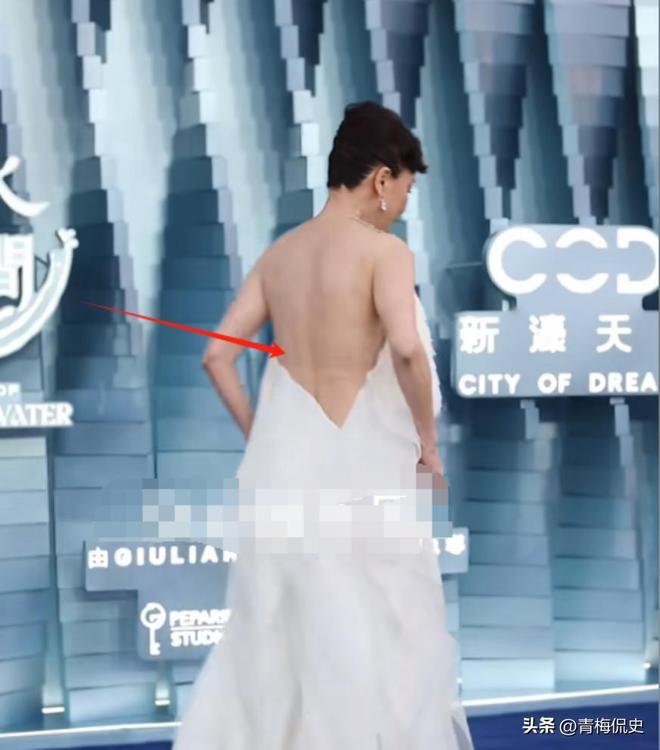 镜胡杏儿美出圈C位张柏芝抢尽风头瓦力游戏澳门晚宴：刘嘉玲大露背抢(图19)
